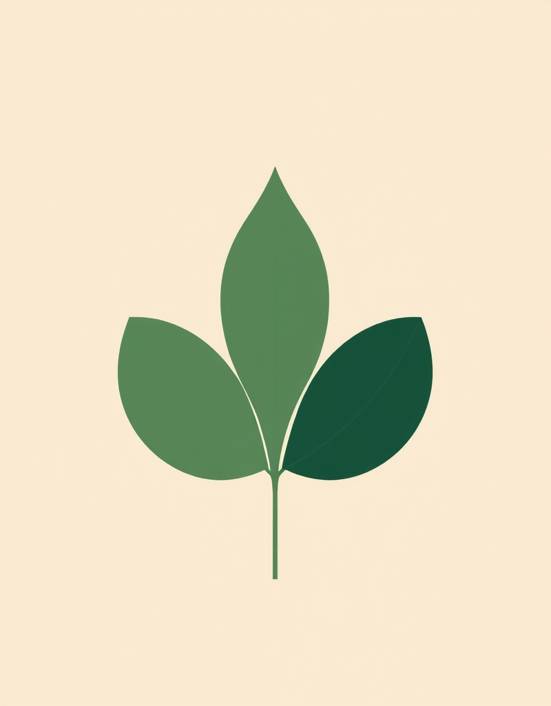 [Первая школа биохакинга] Менопауза 2.0: начало конца или снова 16? (Ирина Баранова, Дарья Акимова)