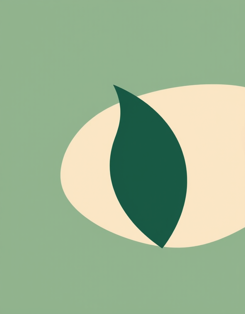 Все мои программы. 6 программ Анастасии Бабаковой (Анастасия Бабакова)