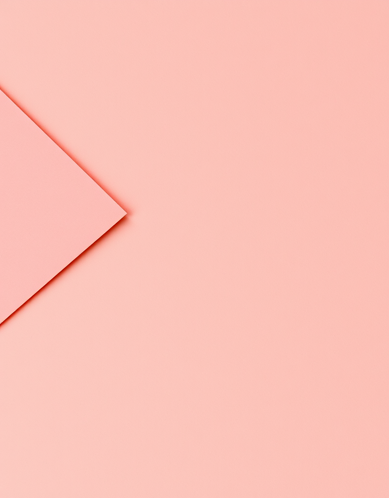 Создание векторной графики в Adobe Illustrator (Вероника Полякова)