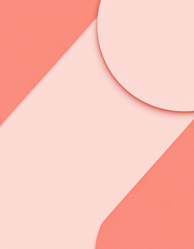 Fashion Illustration на IPad. Fashion portrail в быстрой технике (Елена Щербаченко, Анна Бартуль)