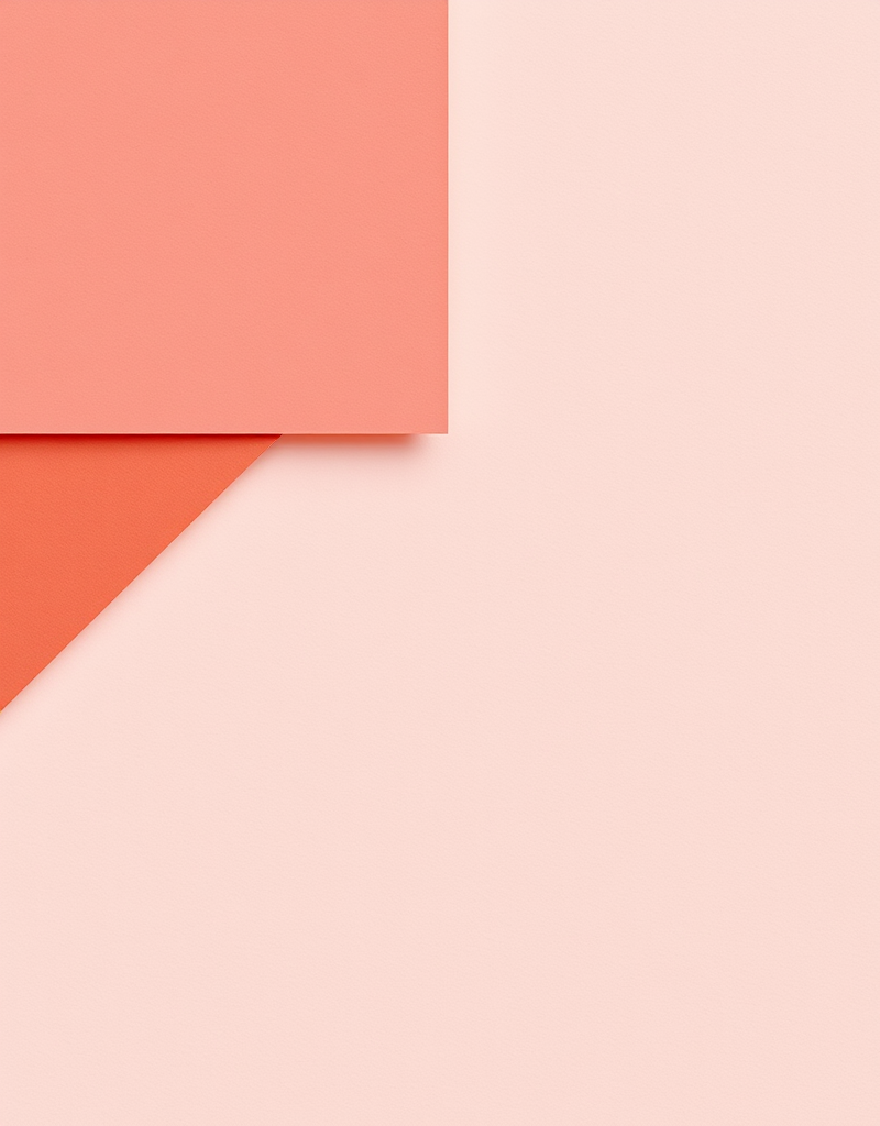 Курс  по программе Adobe Illustrator для ВАС! [Aleks Online Course]