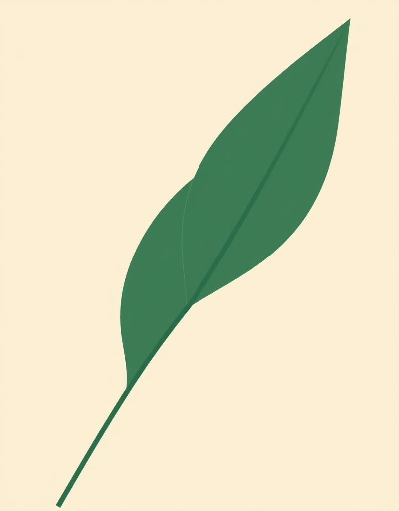 Курс новичок для зала (Анастасия Миронова)