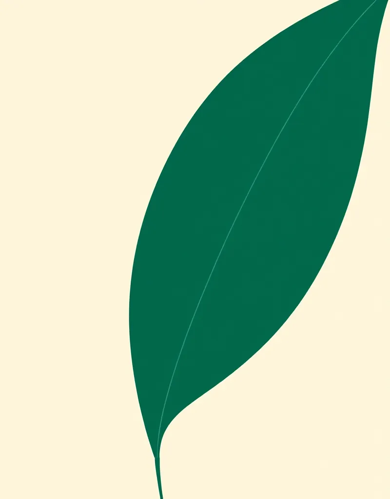 Мир специй (Елена Орлова)