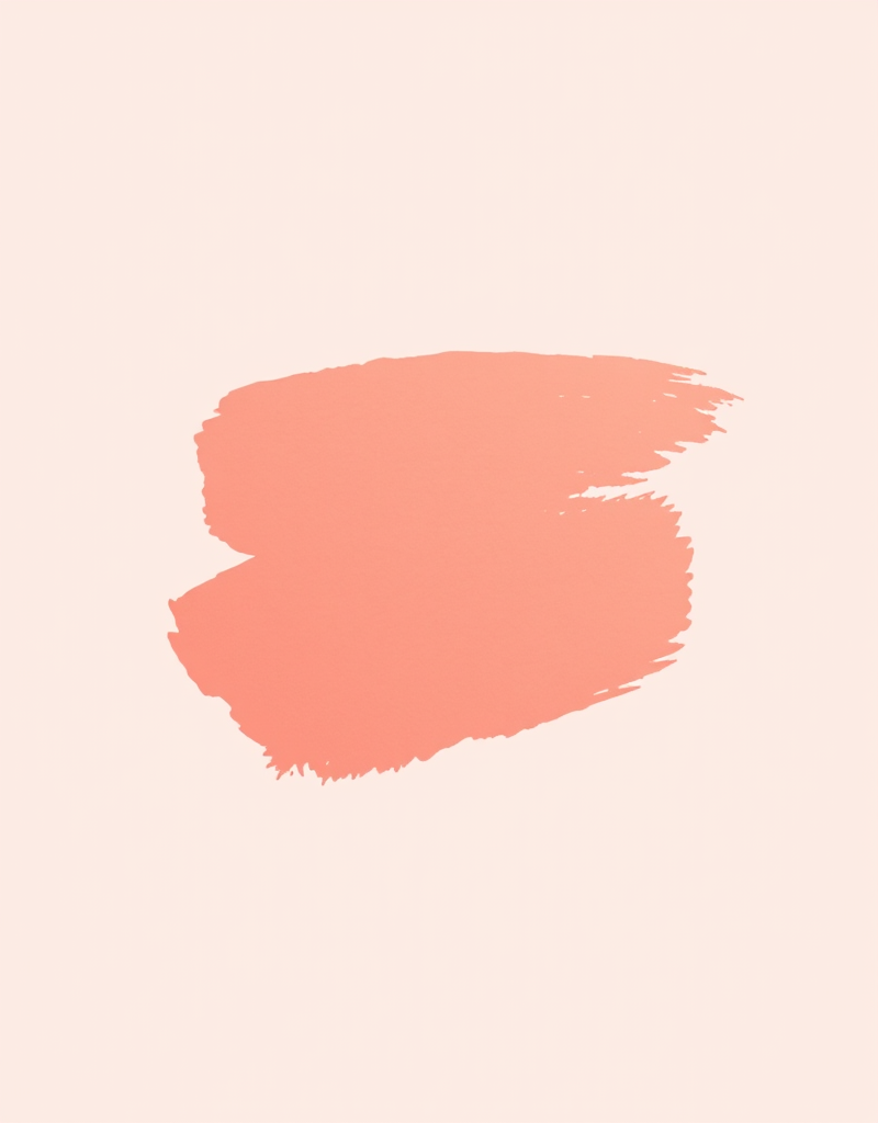 Adobe Illustrator для начинающих (Евгения Лисицына)