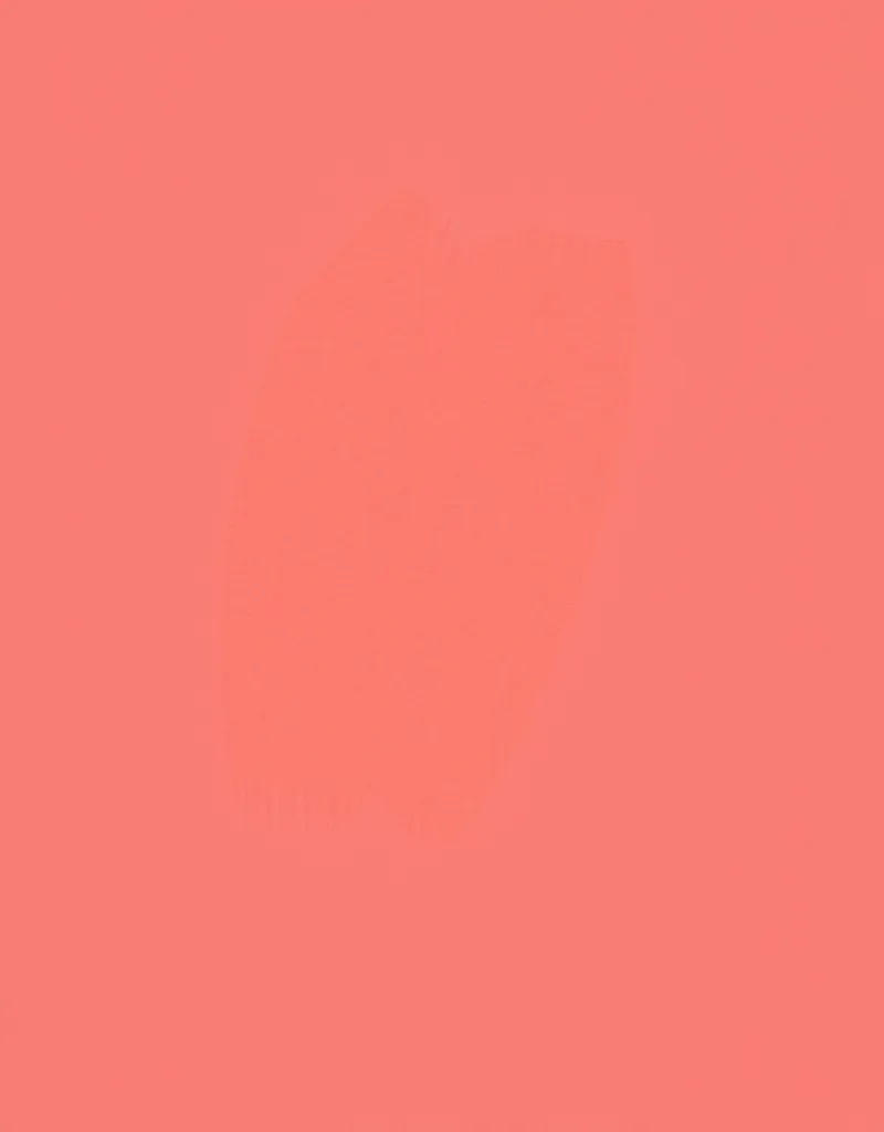 [Antistocker] Зарабатываем на стоках. Легкий старт с Adobe Illustrator .Тариф Pro (Карина Сидоренко)