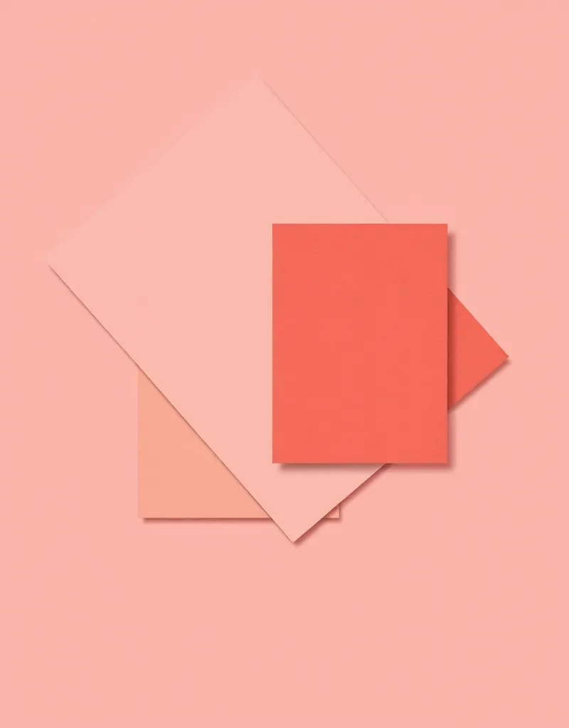 [Brush.Guru] Основы иллюстрации в Adobe Illustrator (Константин Спирин)